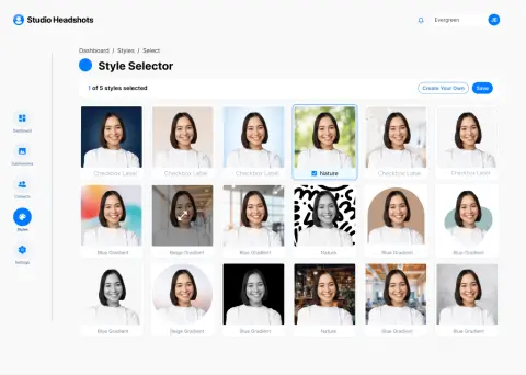 Style selector Style selector